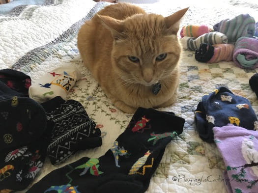 Sparkly Raja Kitty With Cat Socks Original