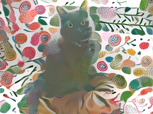 Kiwi Zoe Kitty